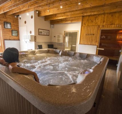 Hôtel Logis Centrotel et Spa Bulles d'Allier Montmarault