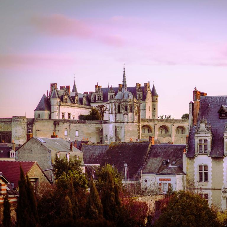 Hôtel Spa Au Charme Rabelaisien Amboise