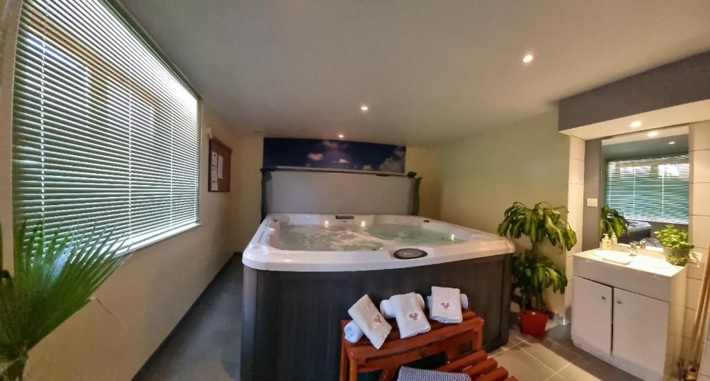 Jacuzzi Gîte meublé, LOFT AVEC SALLE JEUX ET SPA DANS LA RESIDENCE Hôtels Spa à Ventron Jacuzzi Gîte meublé, LOFT AVEC SALLE JEUX ET SPA DANS LA RESIDENCE Hôtels Spa à Ventron