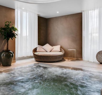 Jacuzzi Hôtel Spa Fleur de Loire Blois