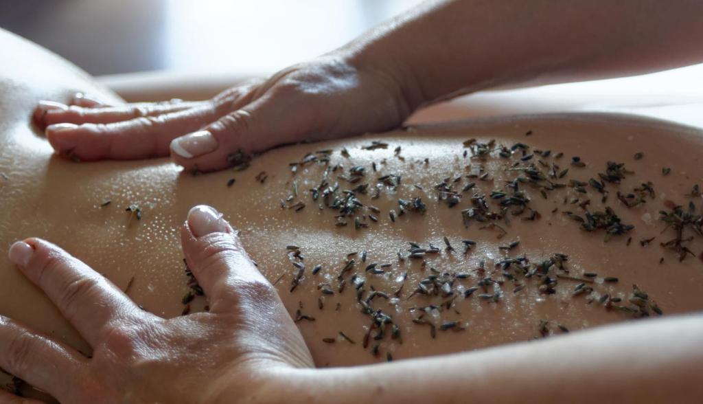 Massage Hôtels Spa à Gréoux-les-Bains Villa Borghese, The Originals Relais