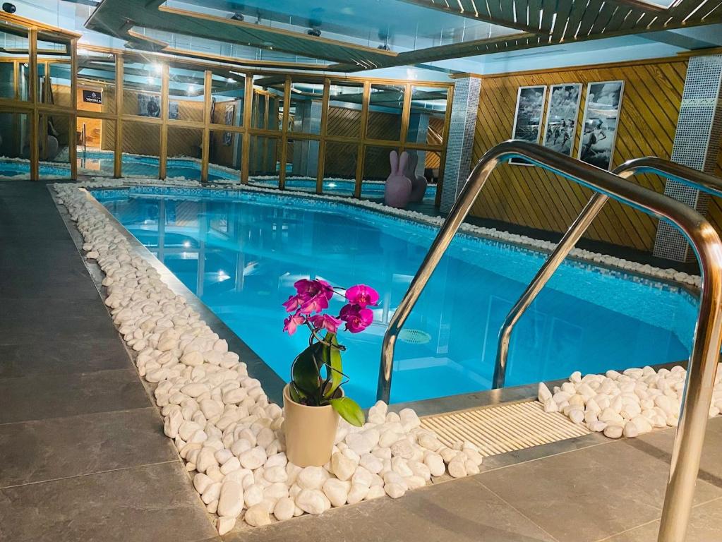 Piscine Intérieure Hôtel Le Labrador 1971 Spa à Les Gets Piscine Intérieure Hôtel Le Labrador 1971 Spa à Les Gets